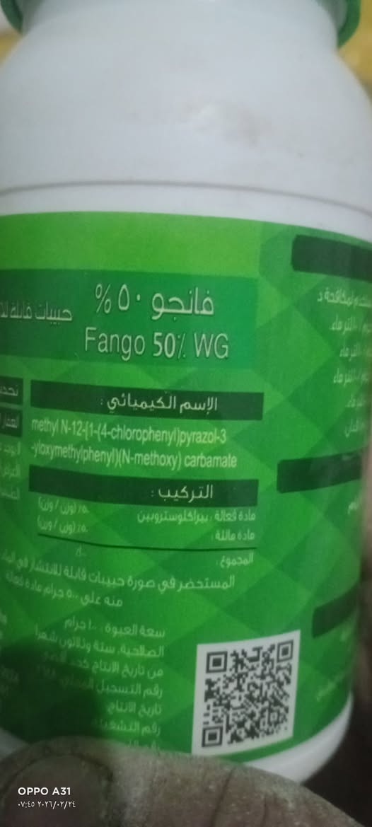 لو سمحت دا يترش للبصل